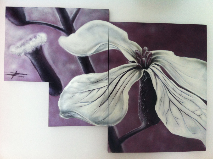Flores en Violeta